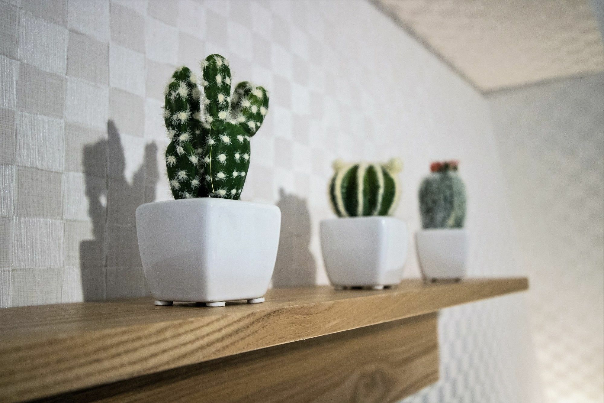 Petit Grande Homes Tokyo Eksteriør bilde